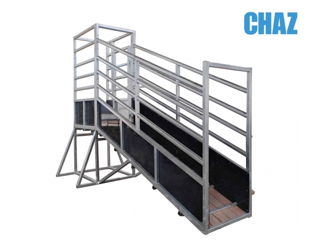 Heavy Duty Loading Ramp